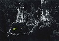 Ii
