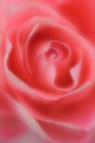 `{@ 